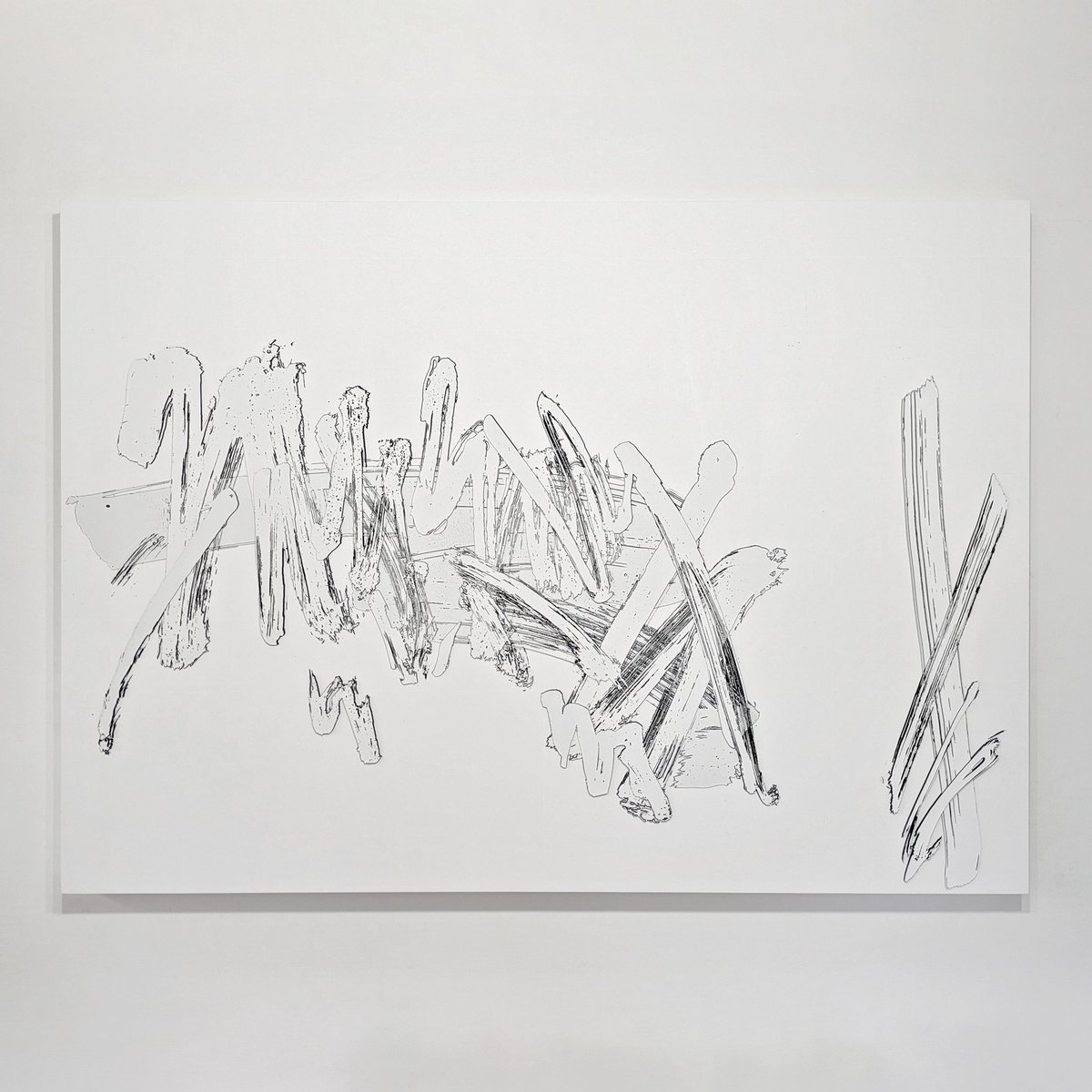 菊野祥希 tweet media