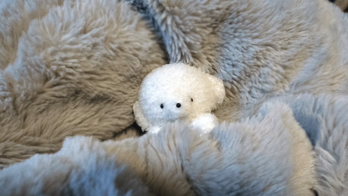 josemaru_model's tweet image. おきなきゃ　がんばて　おきなきゃ