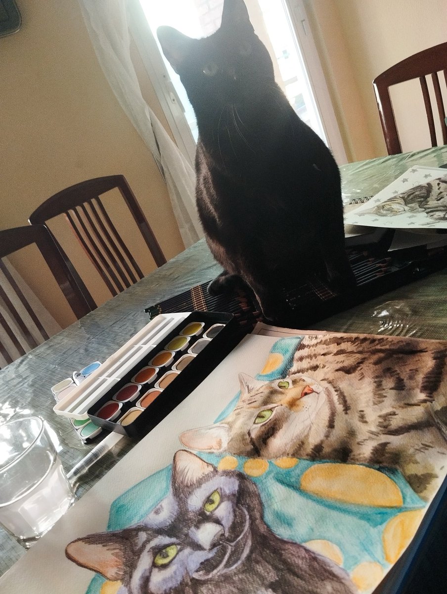 Estos días estoy en casa de mis suegros para estar cerca del veterinario donde está Rita ingresada.
Estoy con encargos y supervisada por el gordo de la familia 🤣