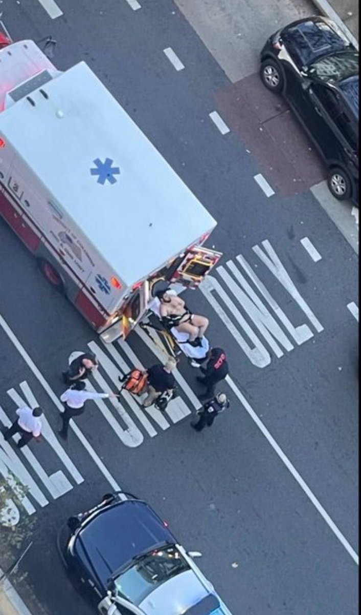 Nick Sortor tweet media