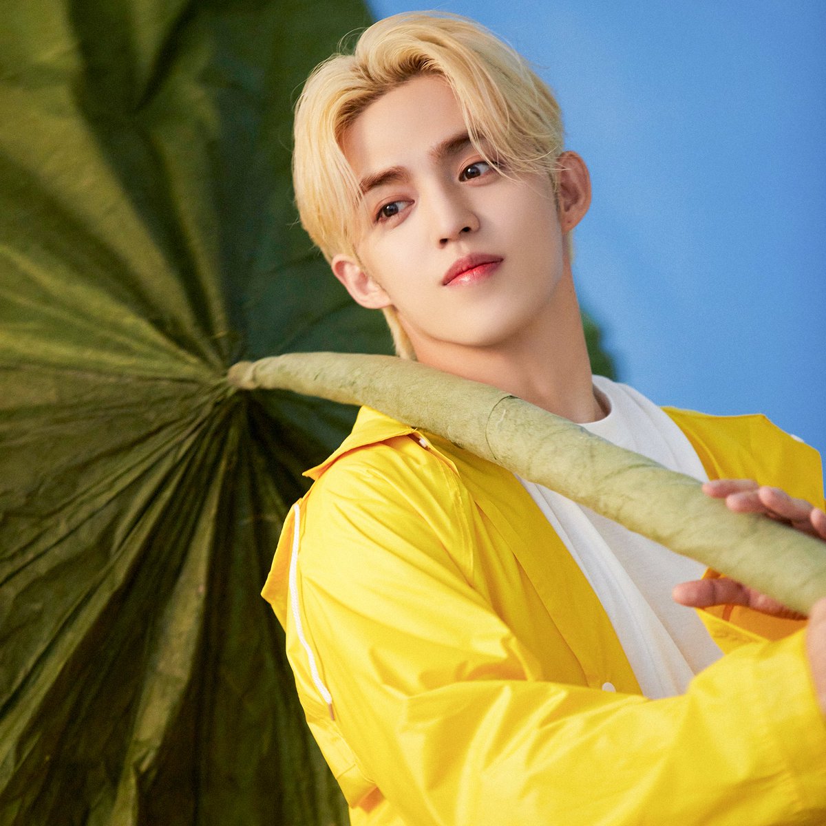 Cherry_halmi's tweet image. 승철시+4 #에스쿱스 #SCOUPS