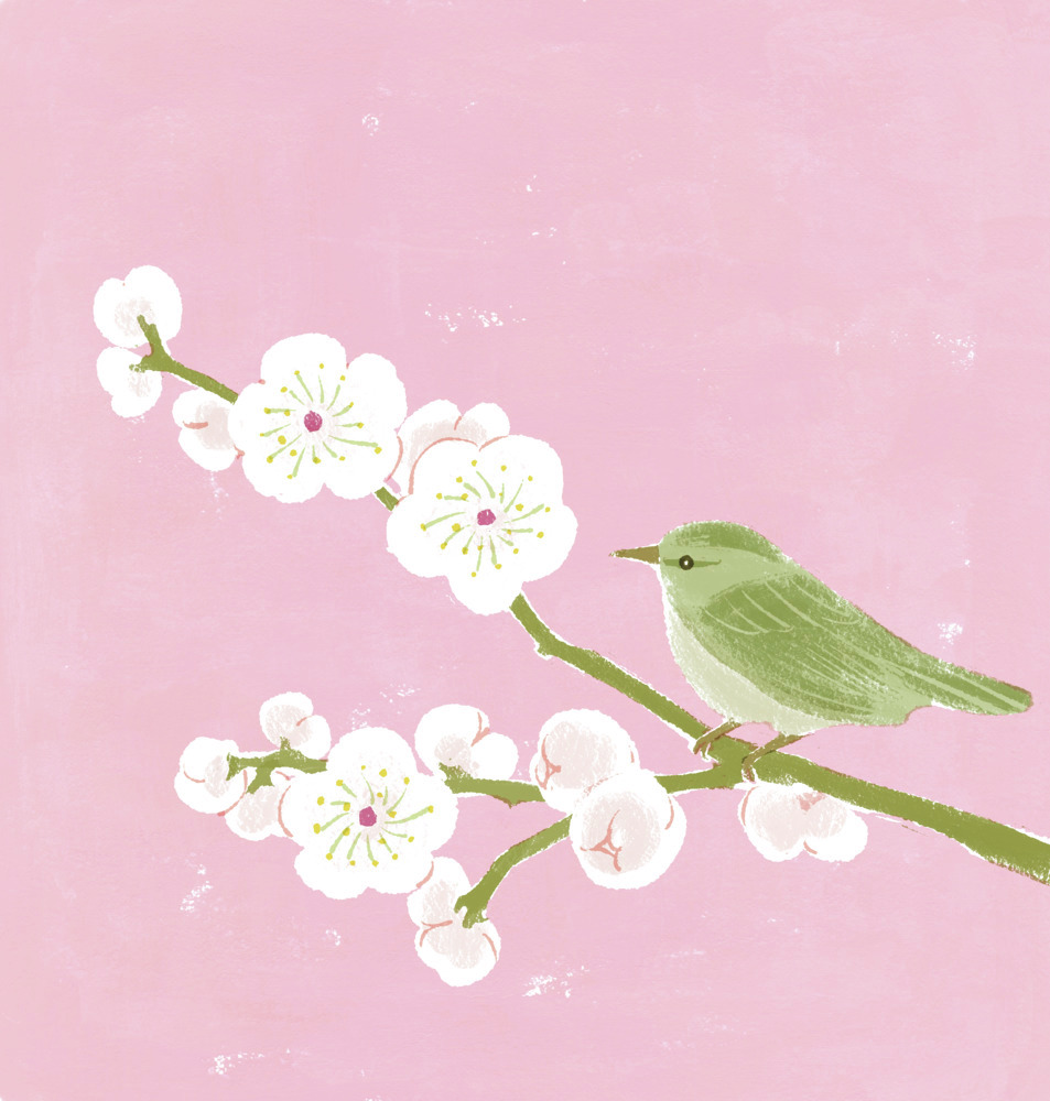 オレンジページの本 tweet media
