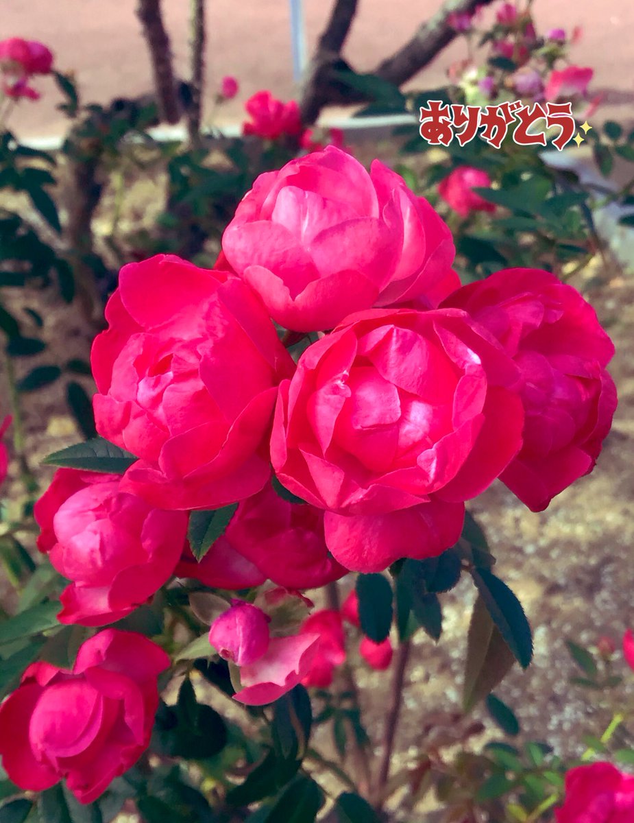 かめきち (@E9Ep7HchhwchZot) / Posts / X