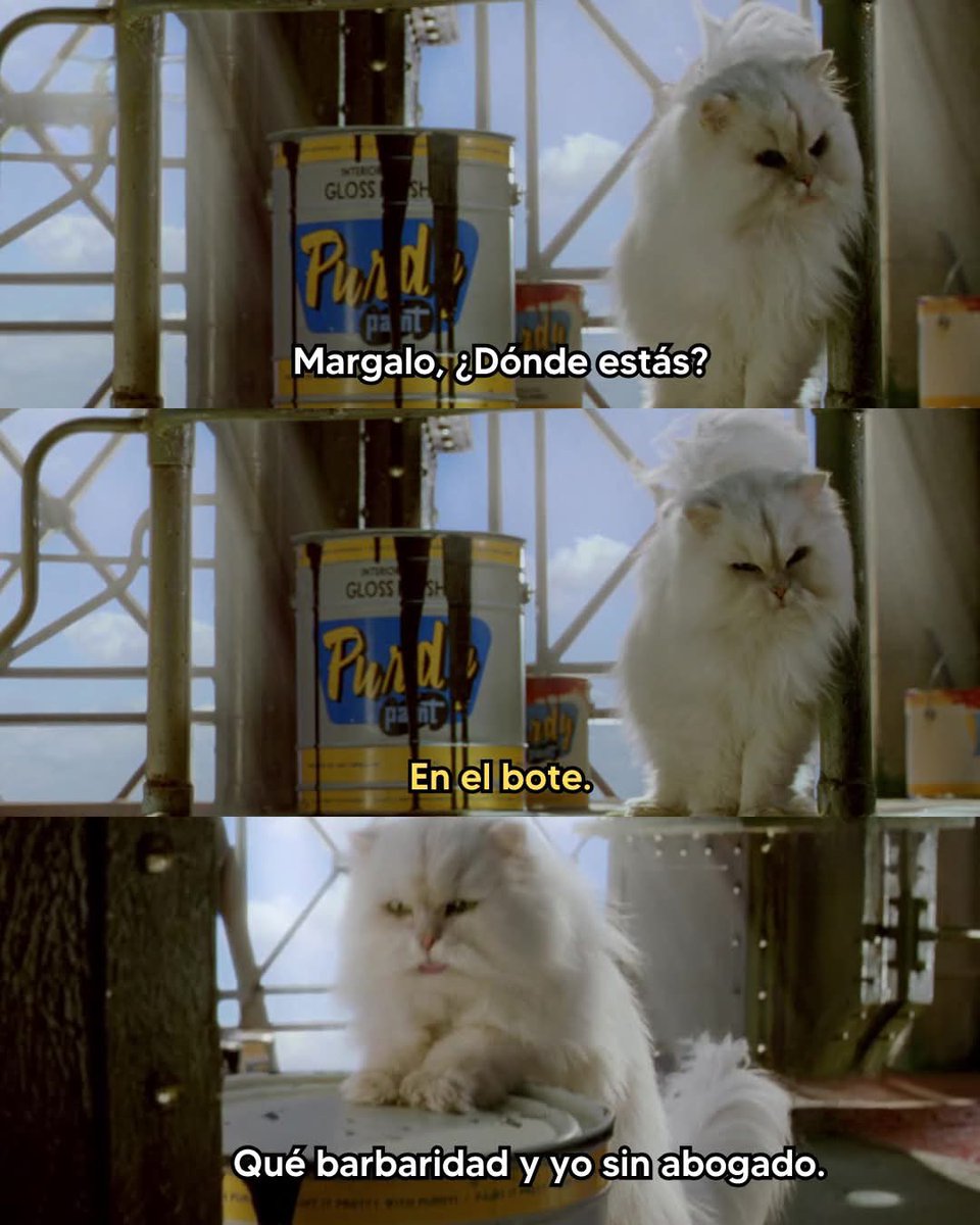 MOTIVAND0TE's tweet image. 