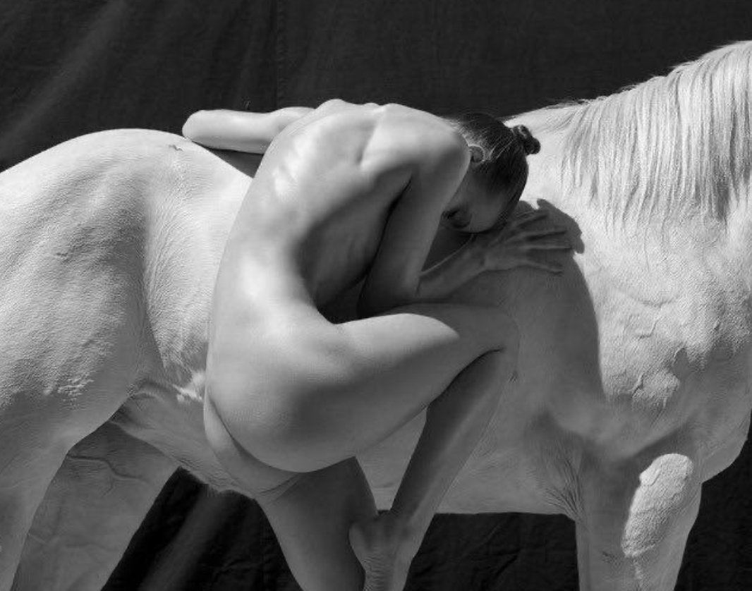 La única manera de vaciarse de amor es llenándose de silencio.

🖋️Elvira Sastre
📷web