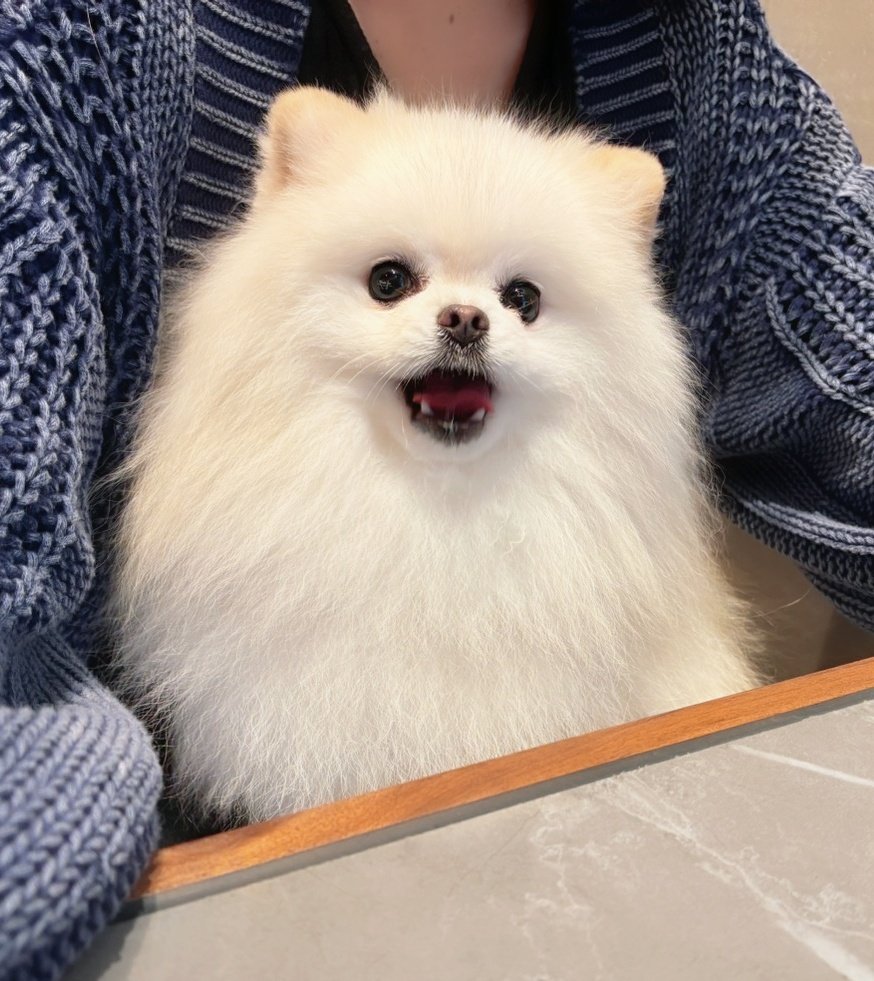 おこめ屋 (@chimaki0328) / Posts / X