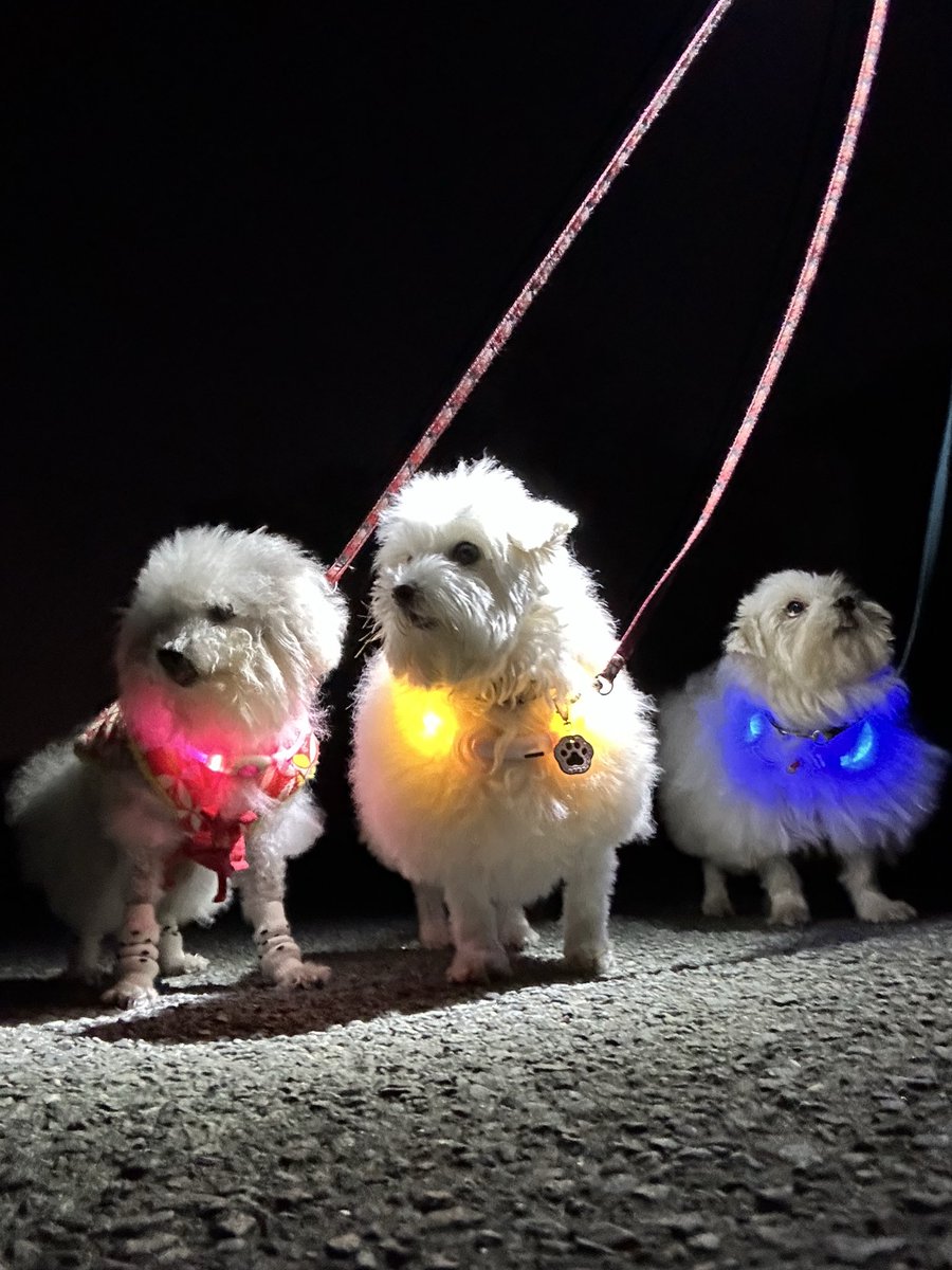 ハルくん (@9Z8lquSv8B3FMpN) / Posts / X