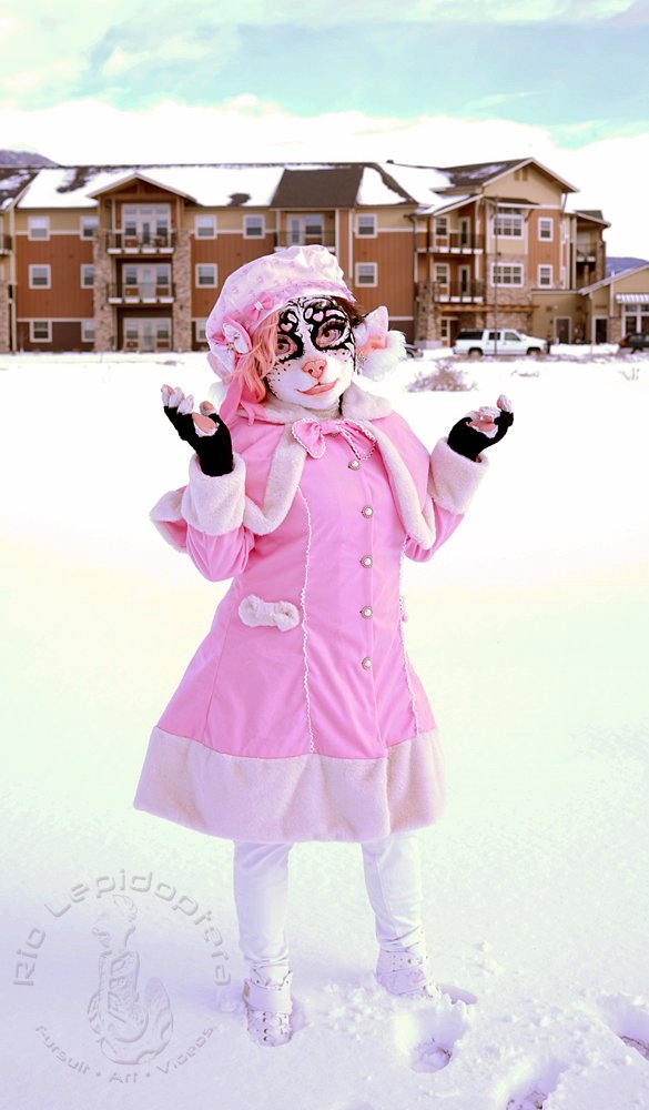 LuckyBark aka Rio Lepidoptera tweet media