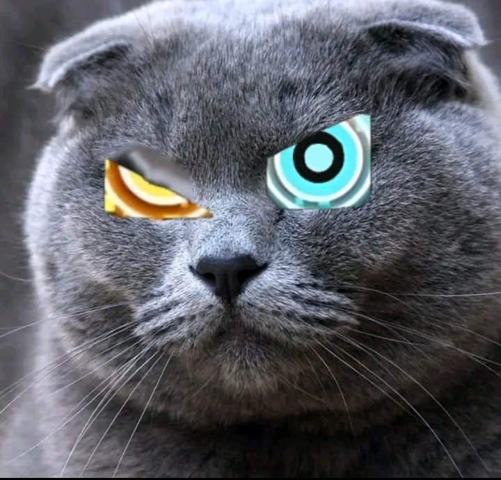 GD_refrncs's tweet image. 