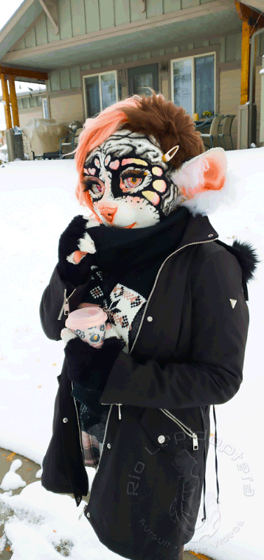 LuckyBark aka Rio Lepidoptera tweet media