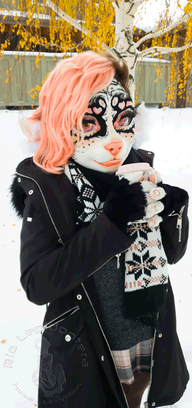 LuckyBark aka Rio Lepidoptera tweet media