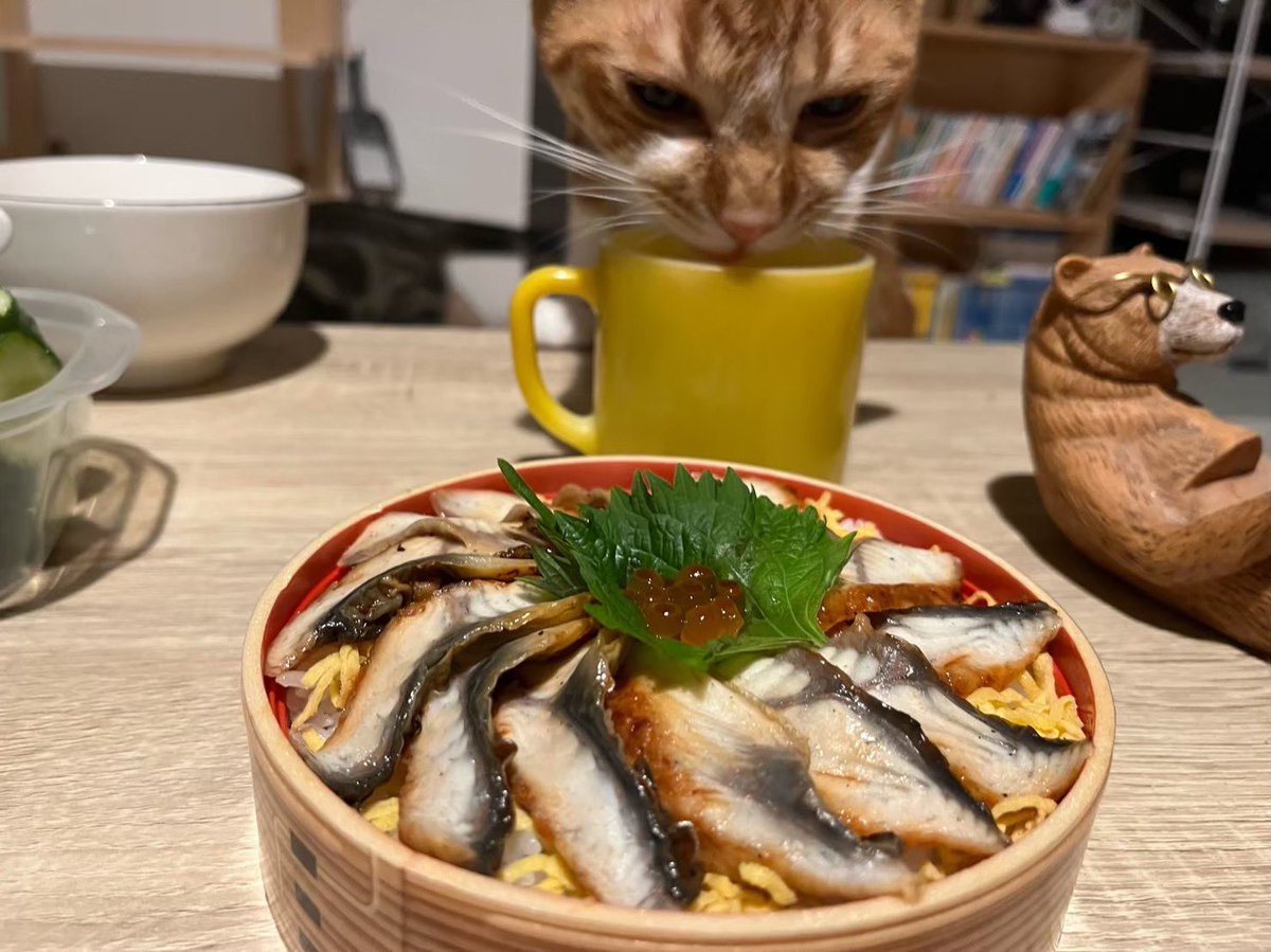 9_cunq's tweet photo. 呼んだ？ https://t.co/p3LcSZmvT1