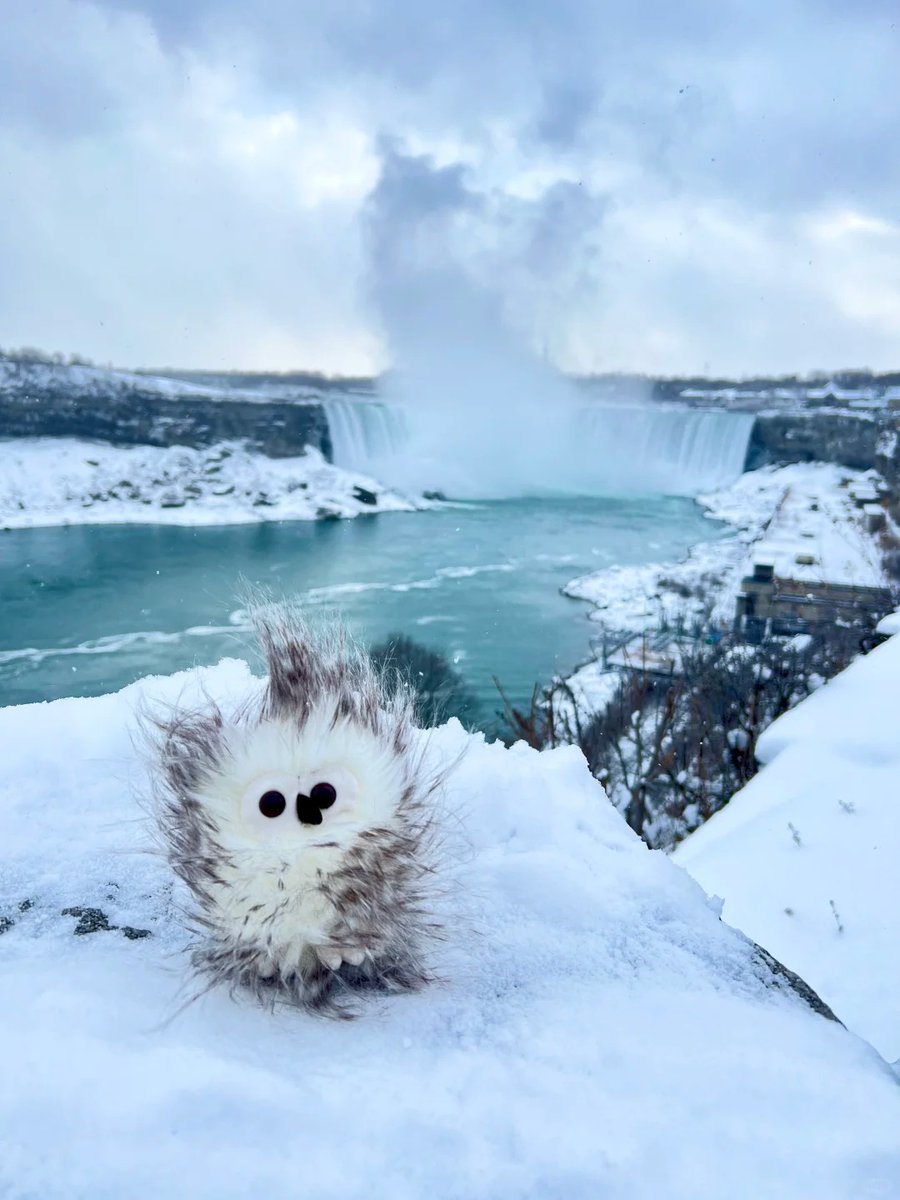 halisumar's tweet image. Chasing winter light and soft horizons ❄️📷Where elegance meets the season 🍁🤍Just me, the breeze, and timeless vibes ✨🌬️