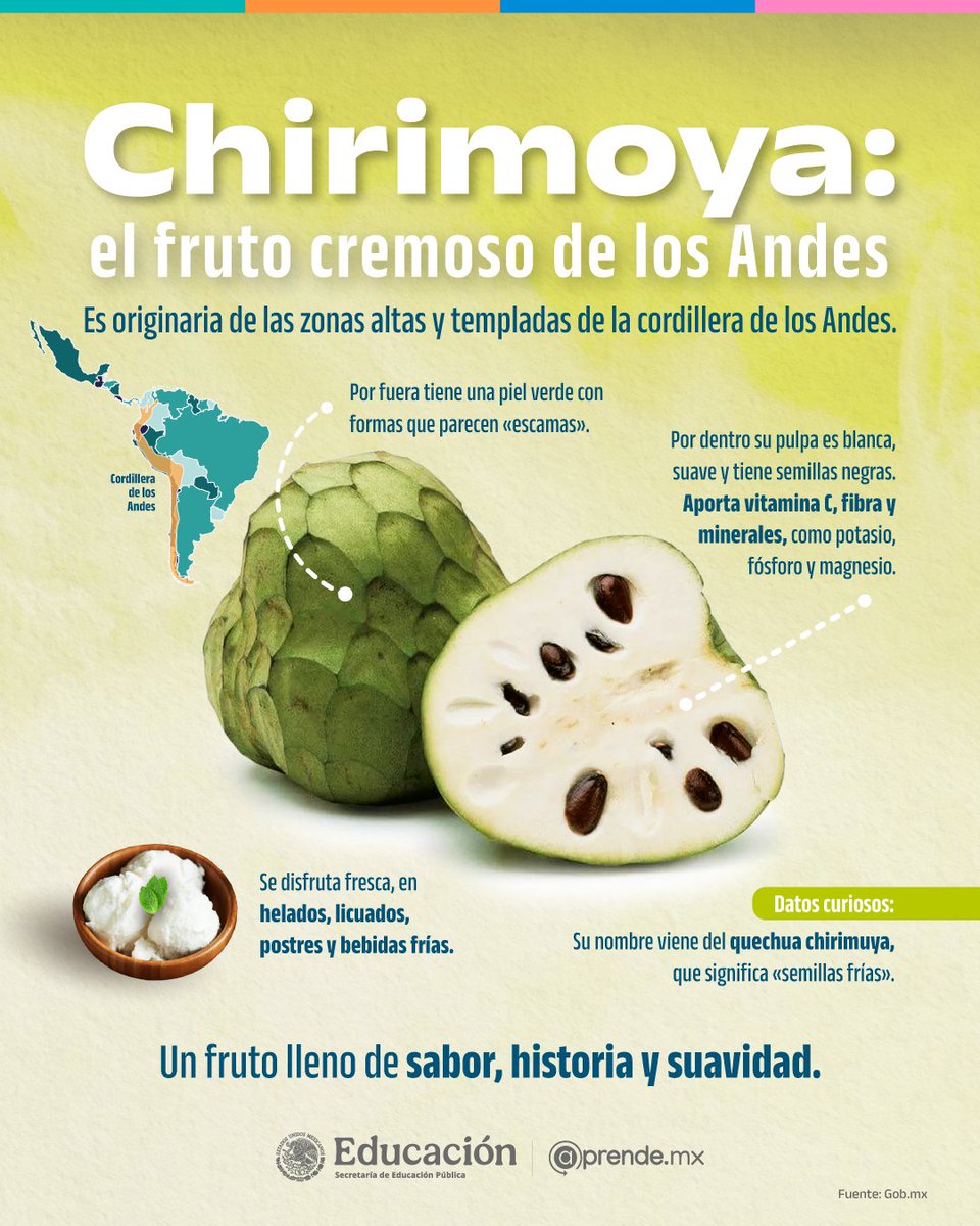 ¿Listos para conocer otro tesoro natural? 🍉✨

Las frutas de nuestra región guardan historias, sabores únicos y propiedades que sorprenden. 👀🍃

#Aprende #AlimentosDeMéxico #SaboresQueEnseñan