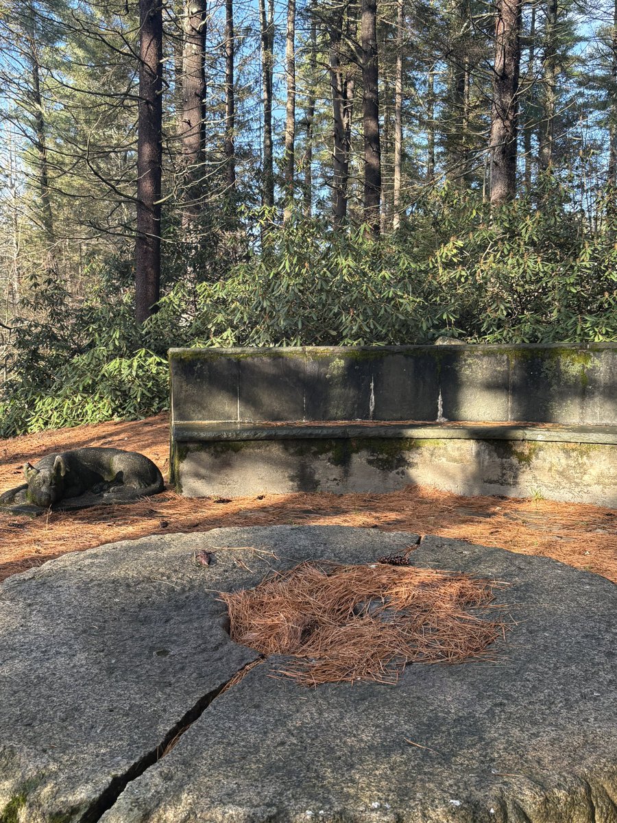 AlfonsoThrillFr's tweet image. Stone benches. Stone dog. Stone round table.

This is the only place I&apos;m interested in having a

group chat