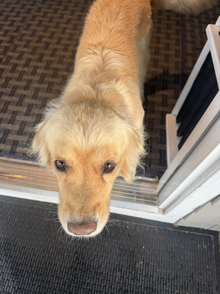 vogeygolf's tweet image. Golf experience I’m thankful for, honorable mention: to a good friend who had a certificate to @Wanumetonomy191 and couldn’t use it-I got to see this little-known Raynor and helped recover from a 3-day event that fell apart last minute. I owe him a favor and a host somewhere