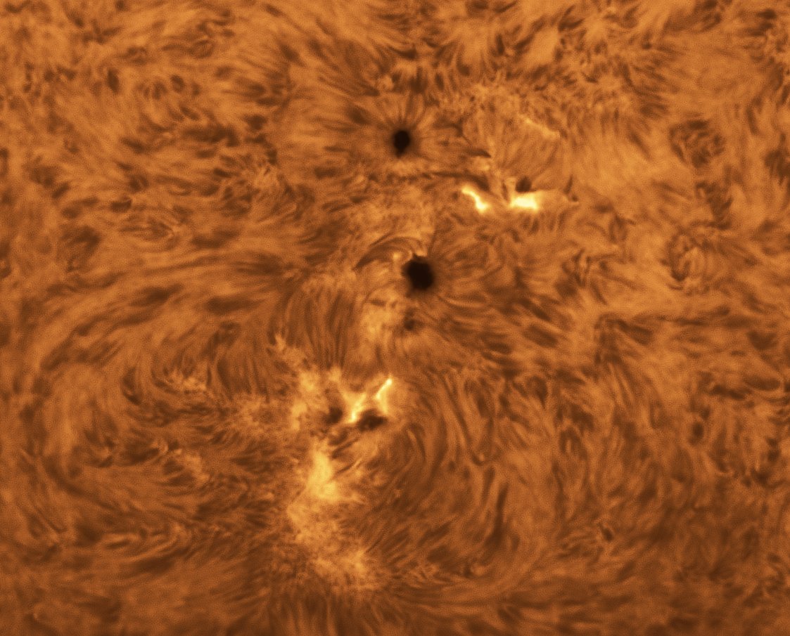 Alberto Castro tweet media