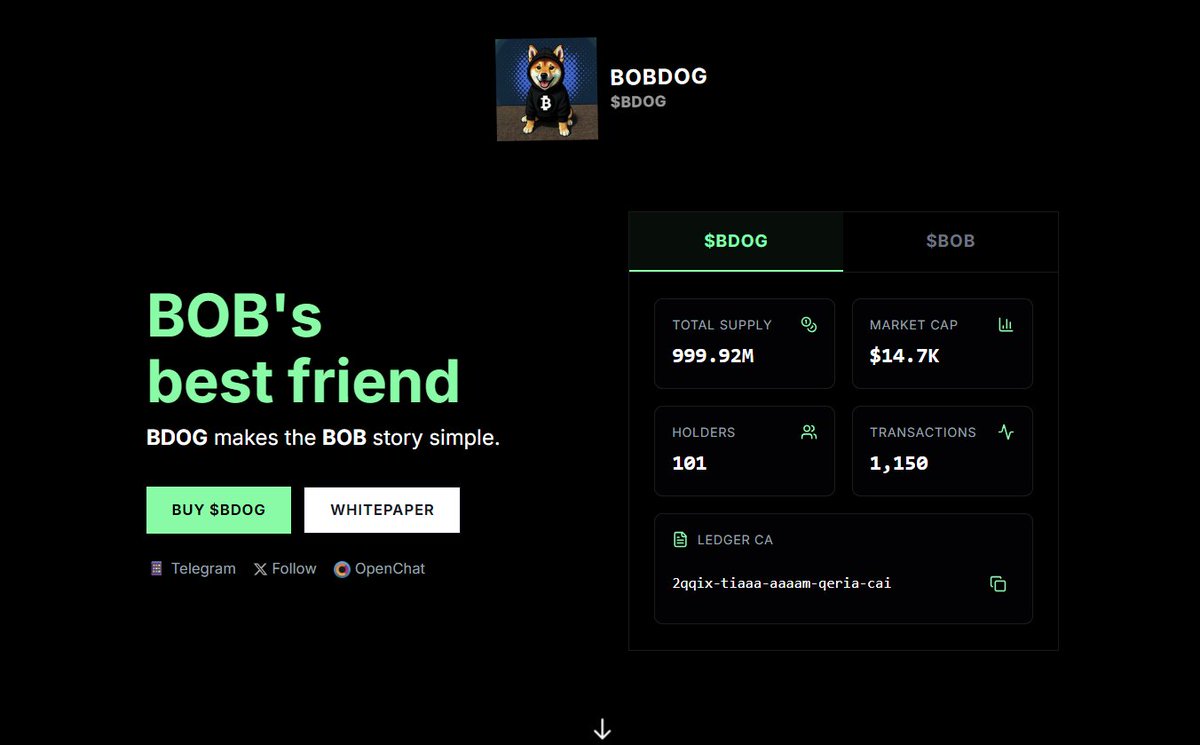 BOBDOG (@bobdogicp) / Posts / X