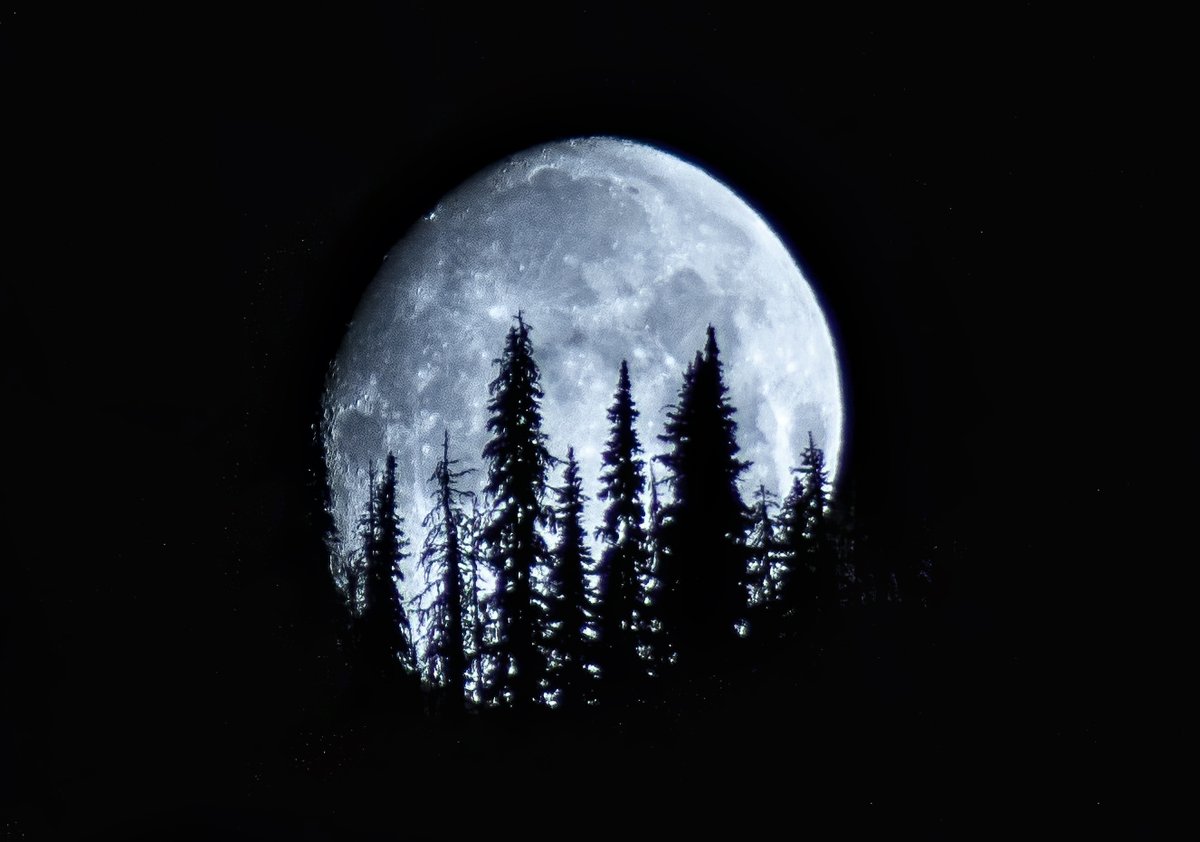 BeWonder_Full's tweet image. If you&apos;re looking for a spacey Christmas Gift this Holiday Season, I wanted to offer a space print from yours truly. I have done some astrophotography over the years and you could give one of my prints to somebody special! What would you get: 1/3