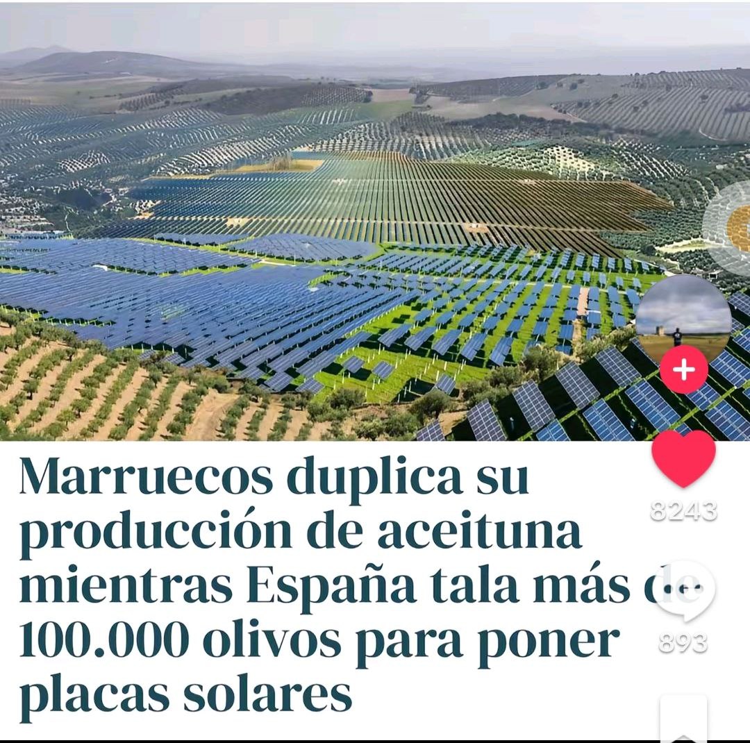 _naucrates__'s tweet image. 