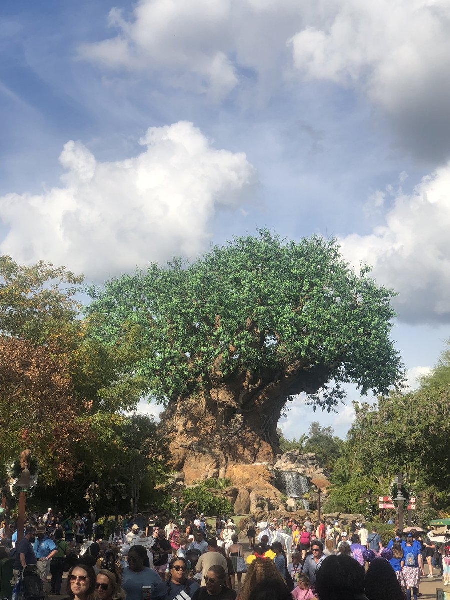 OdysseyJurassic's tweet image. What an absolute beautiful and NATURAL GROWING tree that represents the CONSERVATION OF NATURE and NOTHING ELSE