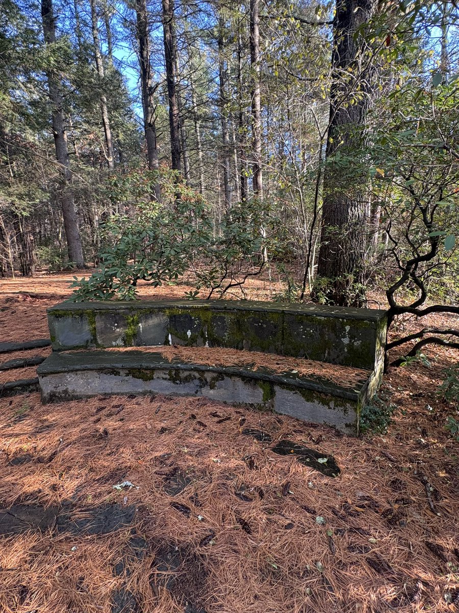 AlfonsoThrillFr's tweet image. Stone benches. Stone dog. Stone round table.

This is the only place I&apos;m interested in having a

group chat