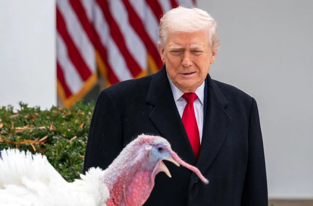 TRUMP IS CONFLICTED...

ON ONE HAND, HE ONLY PARDONS INSURRECTIONISTS AND THE TURKEY CLEARLY DIDN'T STORM THE CAPITAL.

ON THE OTHER HAND, THE TURKEY AND TRUMP ARE NECK-MATES... AND TURKEY IS NOT AMERICA! WHICH IS GREAT SINCE DONNY LOVES ANYTHING THAT'S NOT AMERICA.