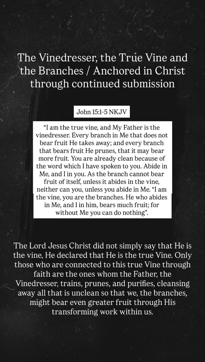 dwayne_obi's tweet photo. The Vinedresser, the True Vine and the Branches / Anchored through continued submission

John 15:1-5 NKJV ✍🏾

With love family, 
God bless y’all 🩶

#JesusIsGod
#KingOfGlory
#SoonComingKing
#UntilAllHaveHeard https://t.co/vnL4jK9So8