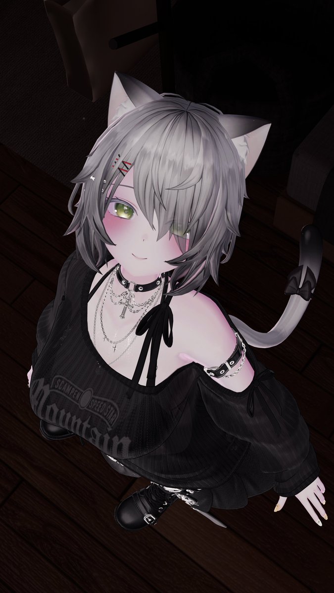 にゃる (@nyalnyal_VR) / Posts / X