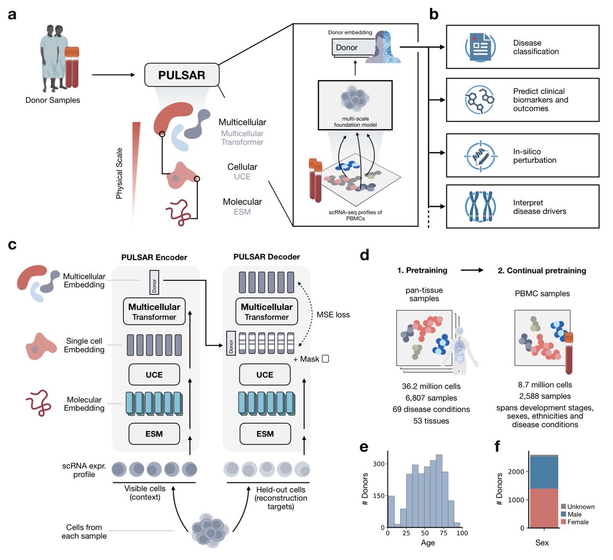 razoralign's tweet image. PULSAR: a Foundation Model for Multi-scale and Multicellular Biology biorxiv.org/content/10.110…