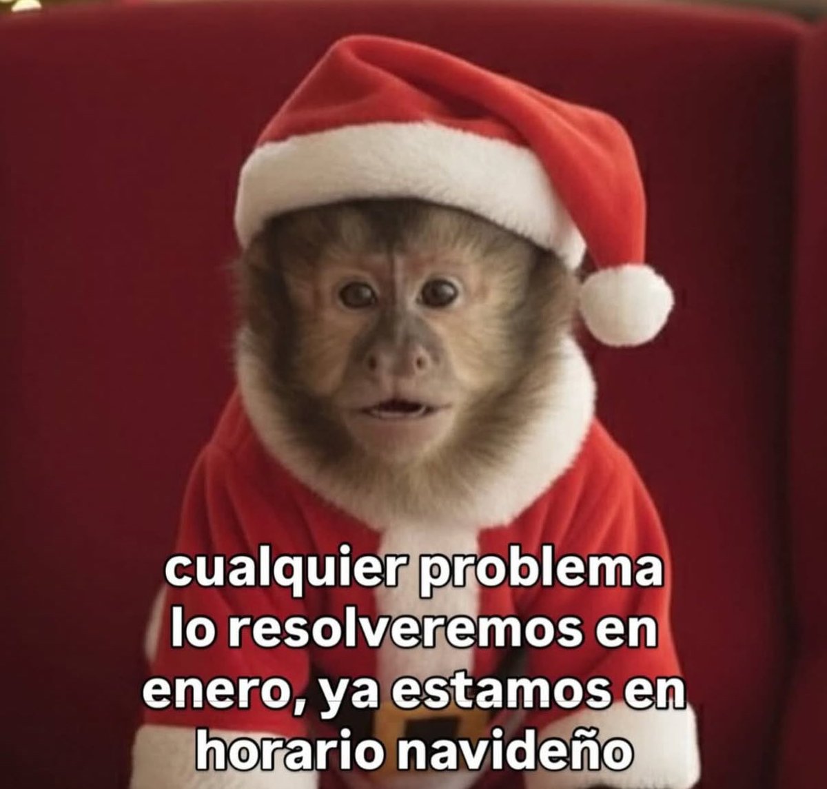 El Pandita Rojo (@elpanditarojo_) on Twitter photo 