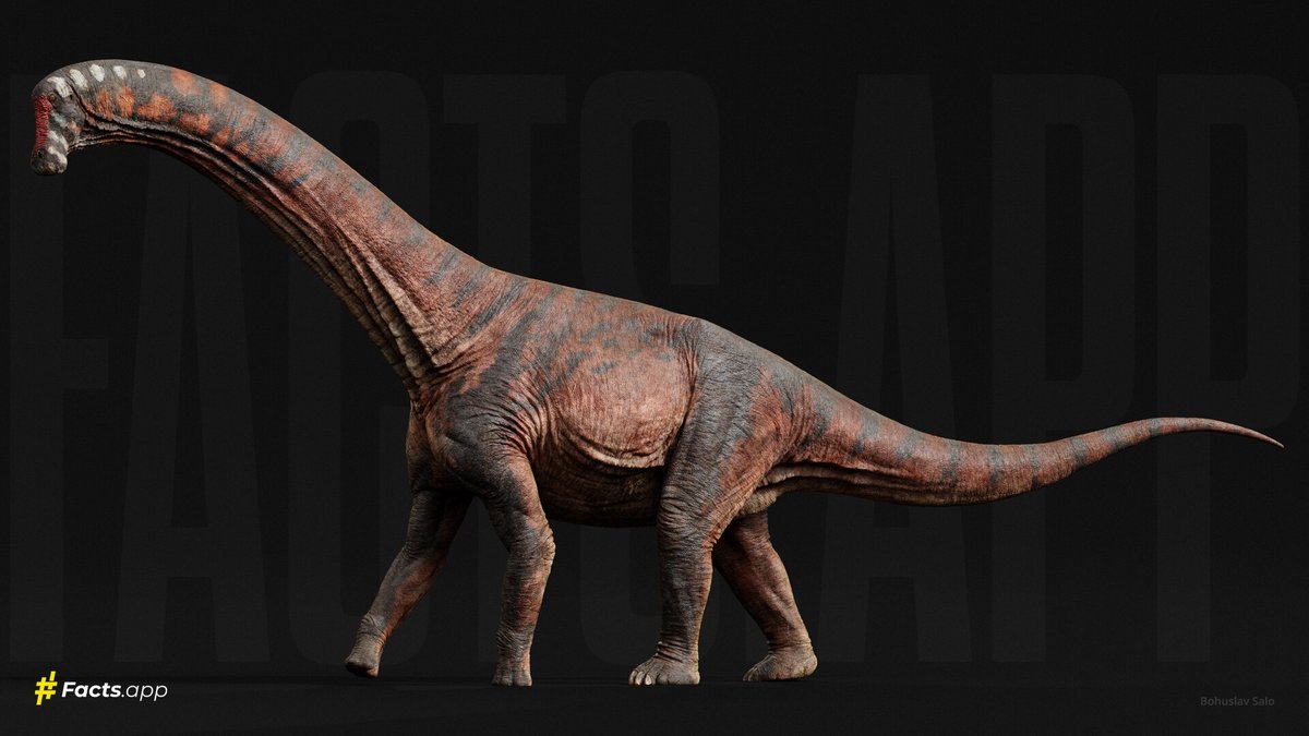 paleobyliam's tweet image. One of my favorite recent sauropod depictions is Bohuslav Salo&apos;s 3D sculpt of the titanosaur Inawentu for Facts app. Nice clear form, detailed rendering and speculative integument bringing a super weird sauropod to life
#paleoart