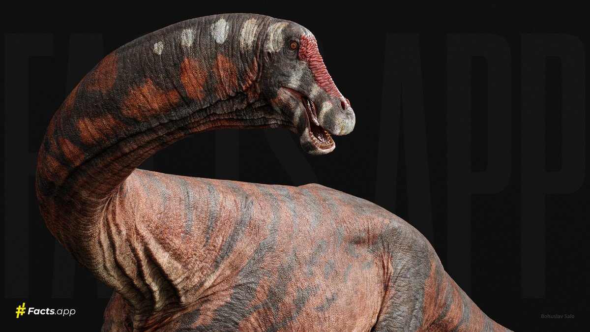 paleobyliam's tweet image. One of my favorite recent sauropod depictions is Bohuslav Salo&apos;s 3D sculpt of the titanosaur Inawentu for Facts app. Nice clear form, detailed rendering and speculative integument bringing a super weird sauropod to life
#paleoart