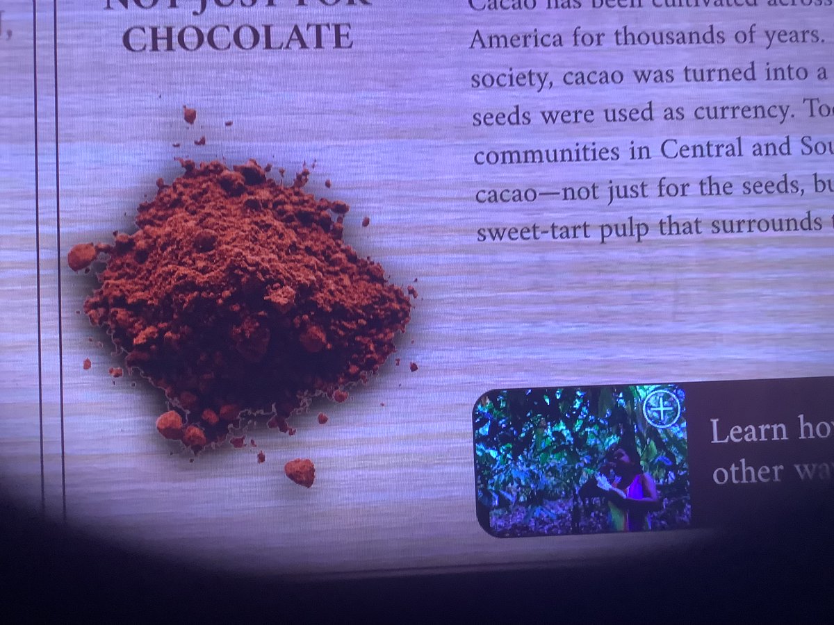 CharringAuh5's tweet image. #Chocolate is a food made from roasted and ground cocoa beans that can be a liquid, solid, or paste, either by itself or to flavor other foods. #Cocoa beans are the processed seeds of the cacao tree