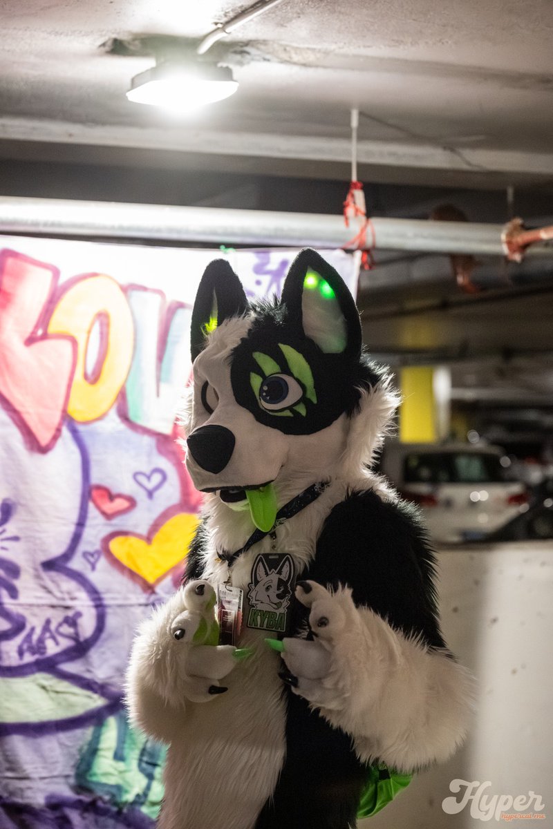 Kyba the Husky🇨🇦 commish open 🪡 🔜 FE26🇨🇦 tweet media