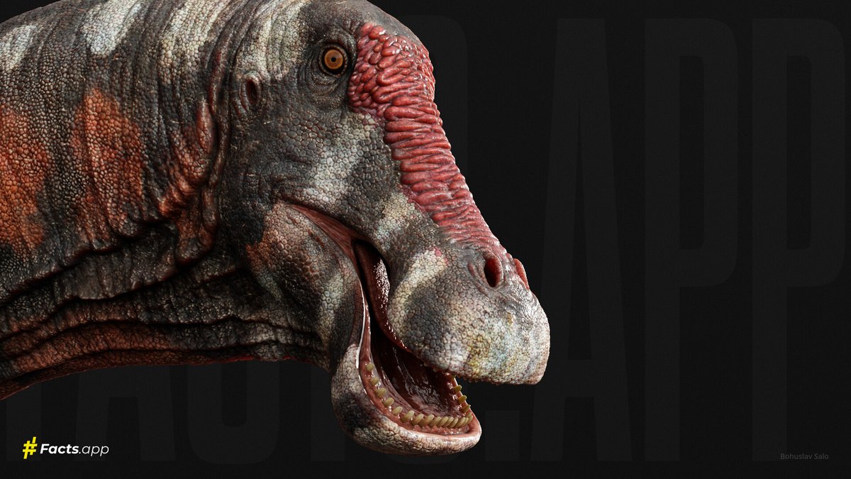 paleobyliam's tweet image. One of my favorite recent sauropod depictions is Bohuslav Salo&apos;s 3D sculpt of the titanosaur Inawentu for Facts app. Nice clear form, detailed rendering and speculative integument bringing a super weird sauropod to life
#paleoart