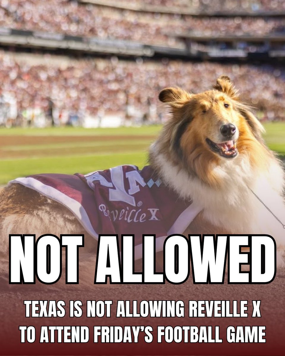 BarstoolTexasAM's tweet image. Win for our Queen.