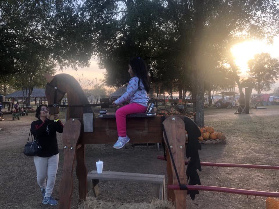 RachnaDar's tweet image. Sweet memories. Very beautiful.    #picoftheday    #BlessedAndGrateful    #GratitudeDaily   #Happiness       #NatureBeauty    #Gratitude