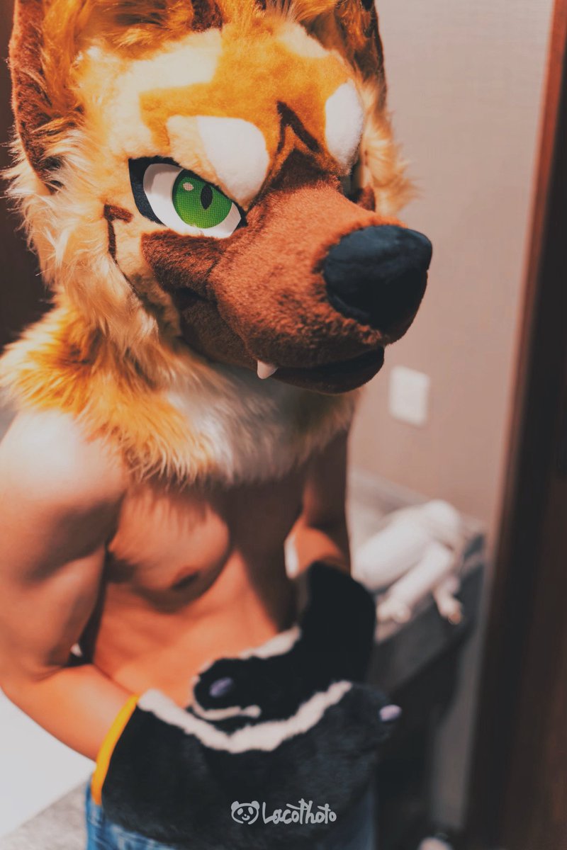 Dau.だぅ tweet media