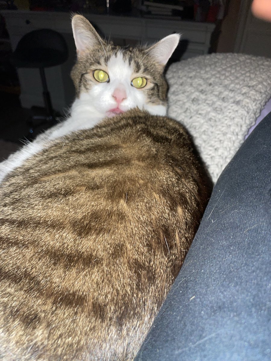 cloudeeznuts's tweet image. Duality