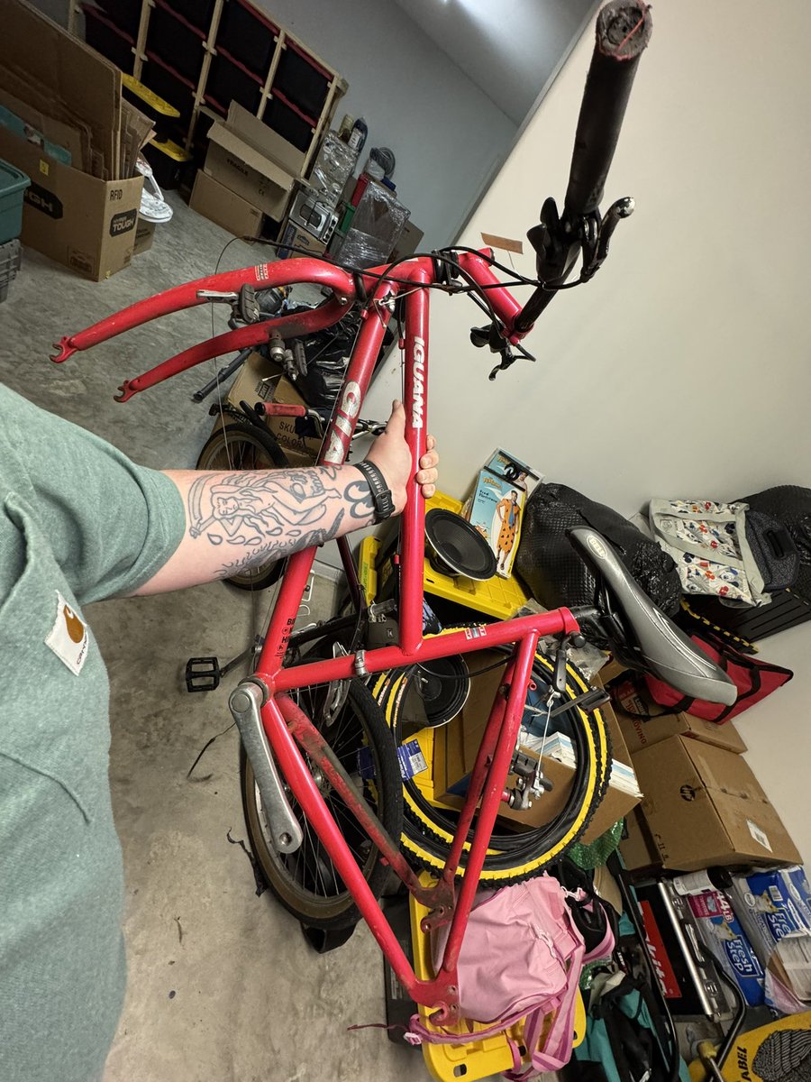 doomriffs's tweet image. bought a bike to build for my wife 
it’s gonna be cute