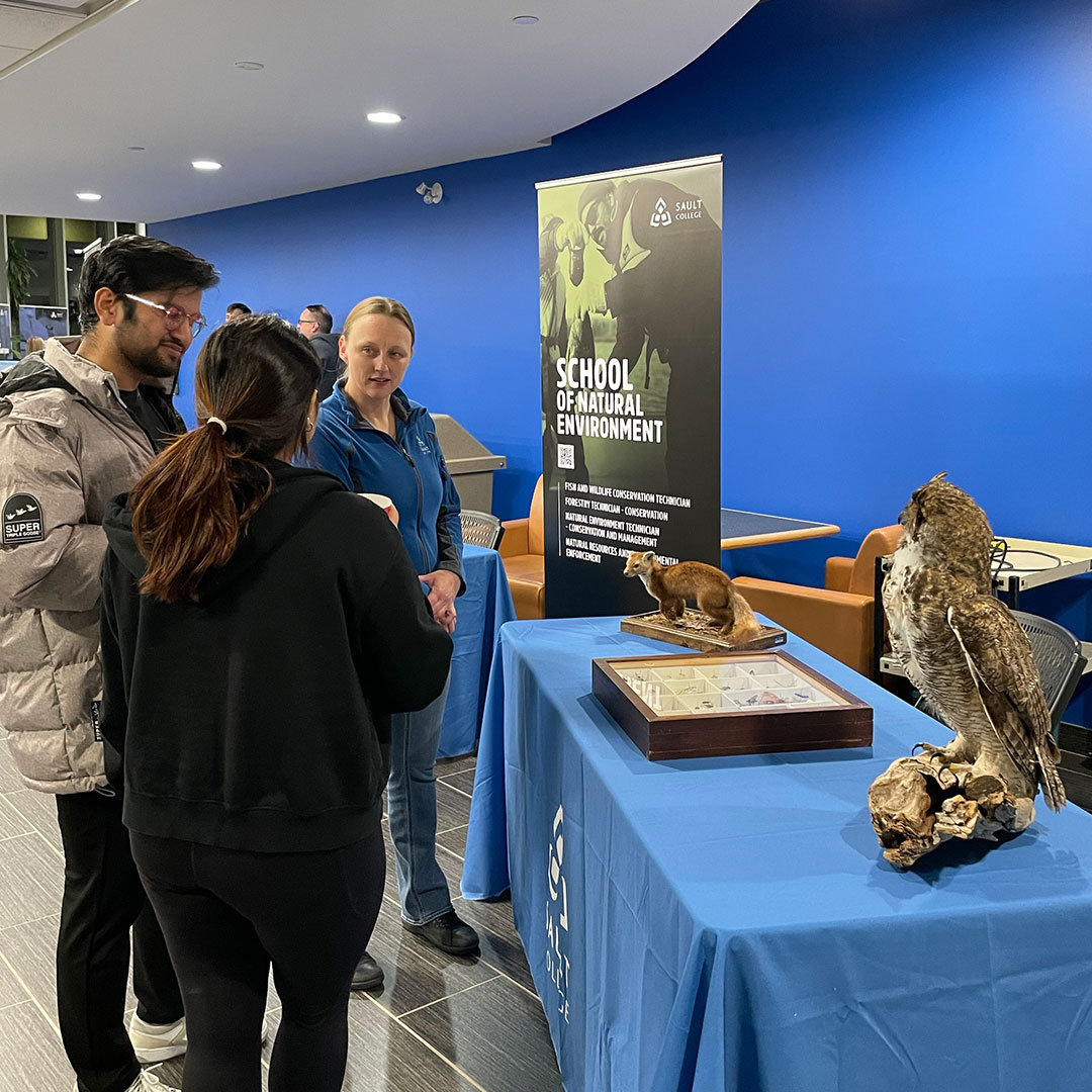 SaultCollege tweet media