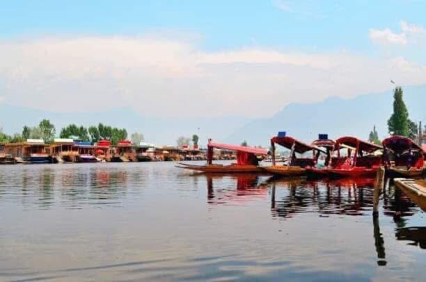 RachnaDar's tweet image. Shekara’s of Kashmir. Very beautiful place like Heaven.    #picoftheday    #gardens    #BlessedAndGrateful    #Gratitude     #NatureBeauty     #Happiness     #PICTURES