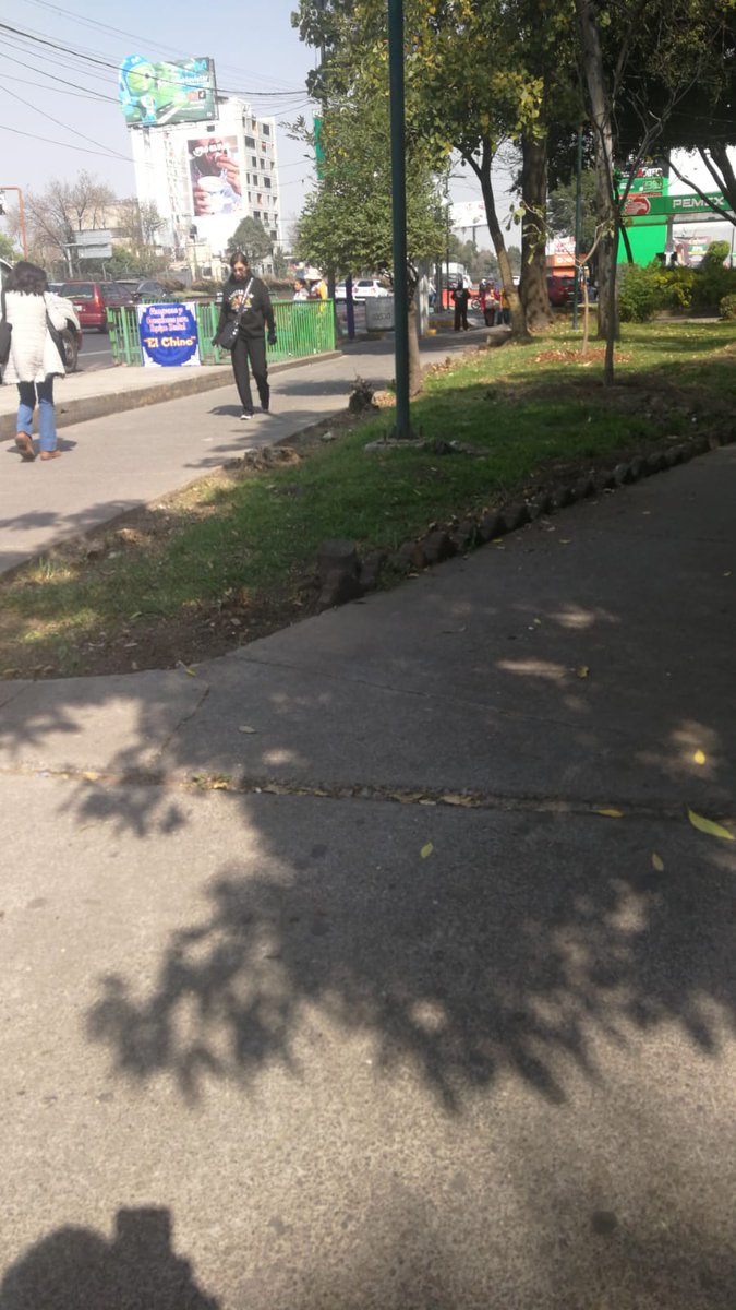 VillaDeCortesBJ's tweet image. Con muchos trabajo y durante muchos años, hemos tratado de conservar las áreas verde en Plaza Victoria. 
En la madrugada retiraron arrayanes que servían de protección a los árboles. Necesitamos esa zona de absorción INTACTA. 
Por favor, @ClaraBrugadaM, no imponga banquetas de más