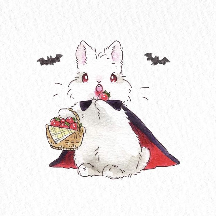 cutedreamvibes's tweet photo. https://t.co/1xhNykGJKO