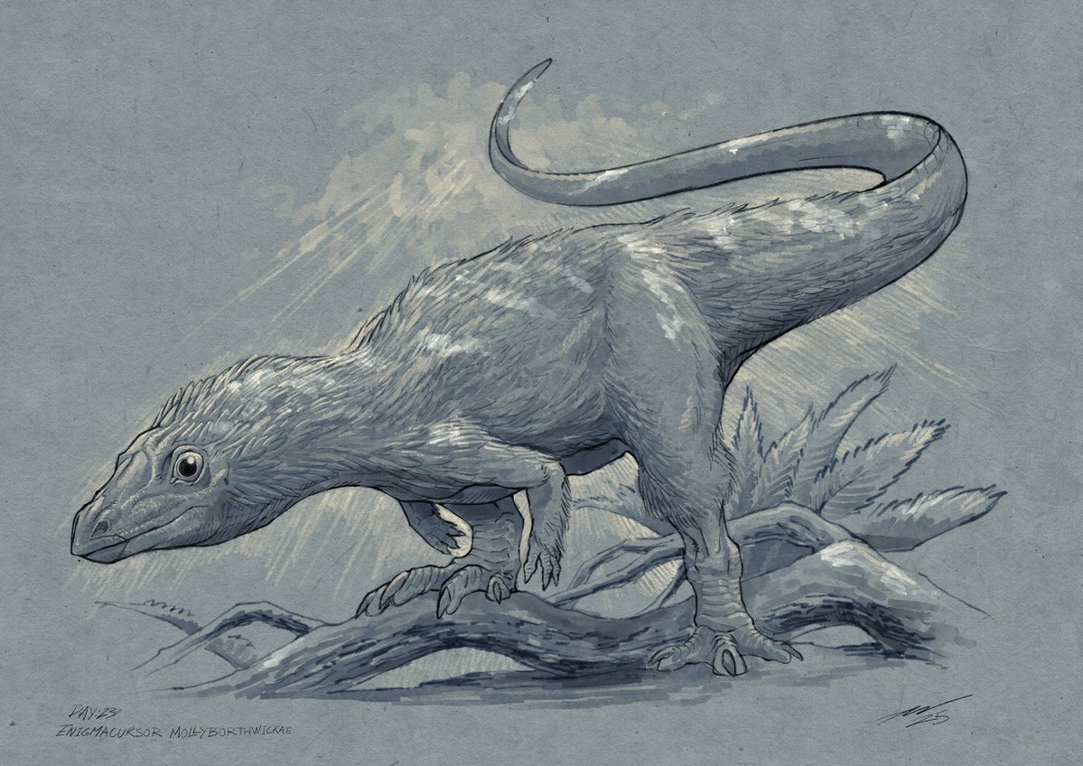 AdamWorks4's tweet image. Day 23: Enigmacursor mollyborthwickae #Dinovember #paleoart