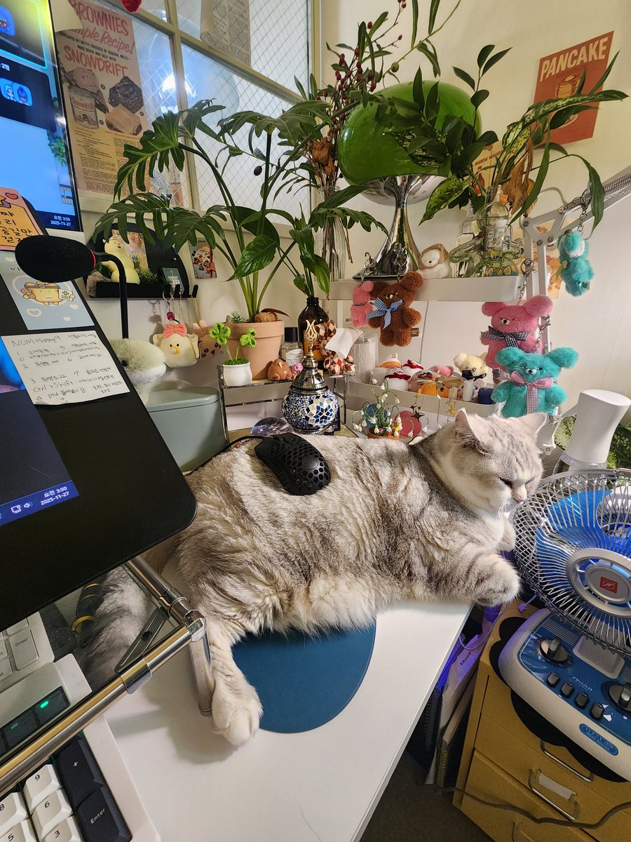 sleet_owo's tweet photo. 새 마우스패드 https://t.co/Dsjvb2BC2Z