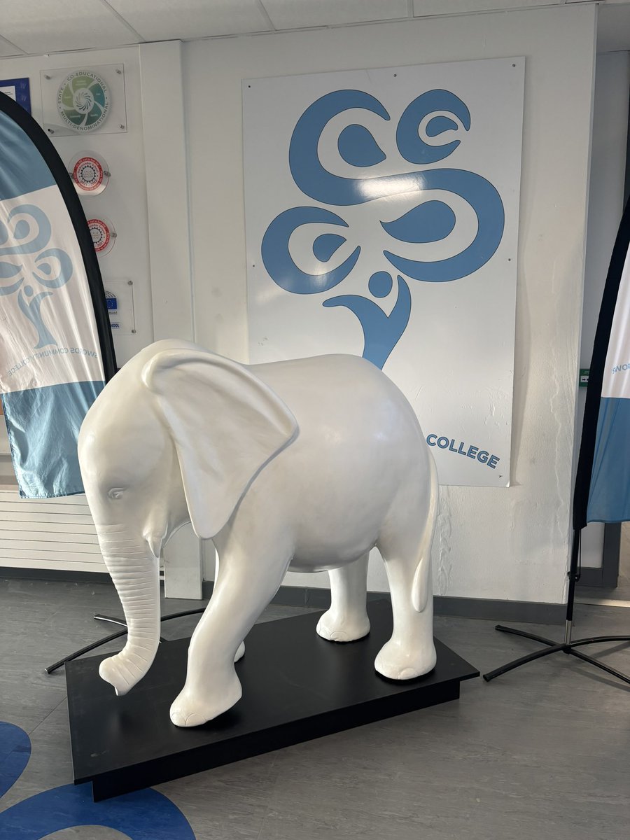 Swords Community College tweet media