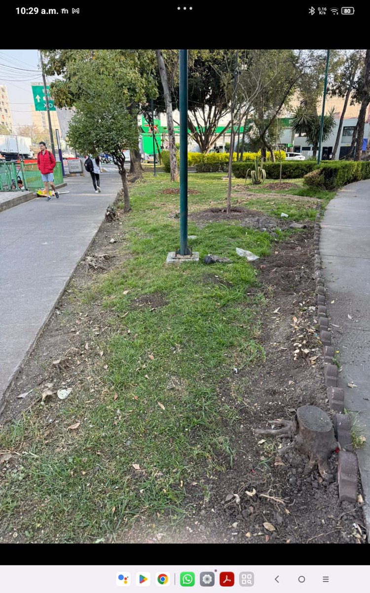 VillaDeCortesBJ's tweet image. El proyecto de embellecimiento en Calzada de Tlalpan ha significado un ecocidio desde Pino Suárez a Río Churubusco. 
Por 5 partidos y por su proyecto de embellecimiento de Calzada de Tlalpan, @ClaraBrugadaM y el @GobCDMX destrozan áreas verdes y zonas de absorción. 
¡Ecocidas!