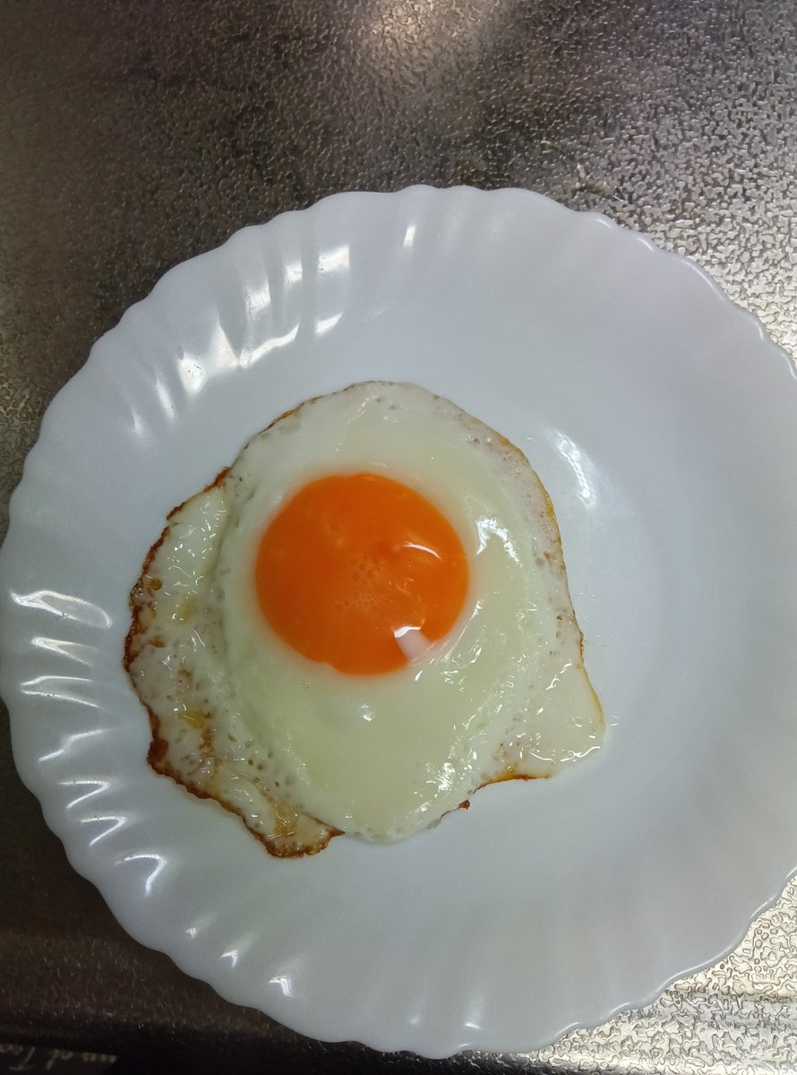 約1年ぶりの挑戦